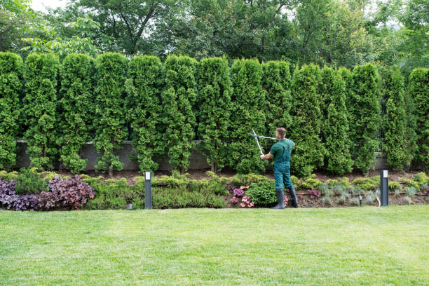 Lawn Maintenance Plans in Aurora, SD